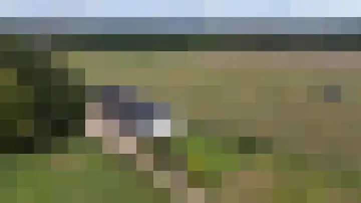 Kwartiersedijk 36 Babberich thumbnail 5