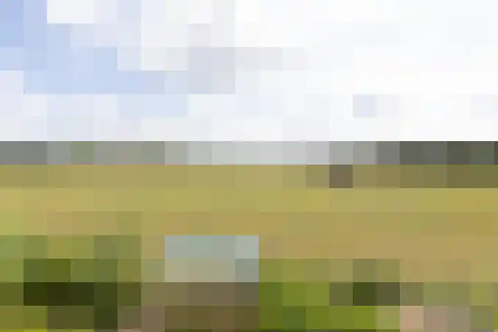 Kwartiersedijk 36 Babberich thumbnail 53