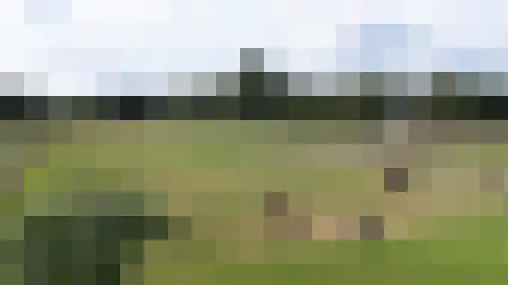 Kwartiersedijk 36 Babberich thumbnail 58