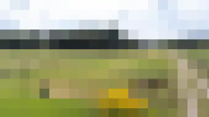 Kwartiersedijk 36 Babberich thumbnail 59