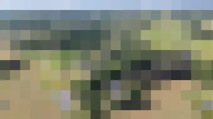 Kwartiersedijk 36 Babberich thumbnail 6