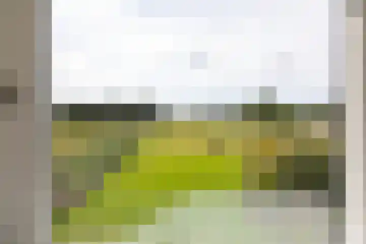 Kwartiersedijk 36 Babberich thumbnail 63