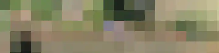 Kwartiersedijk 36 Babberich thumbnail 7