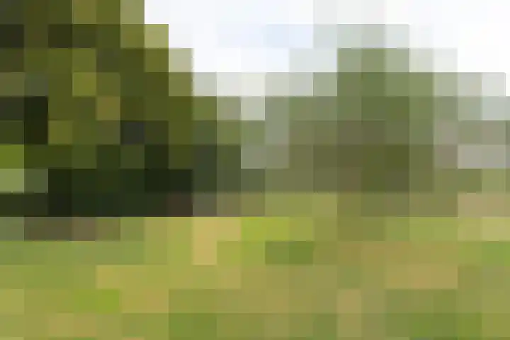 Kwartiersedijk 36 Babberich thumbnail 72