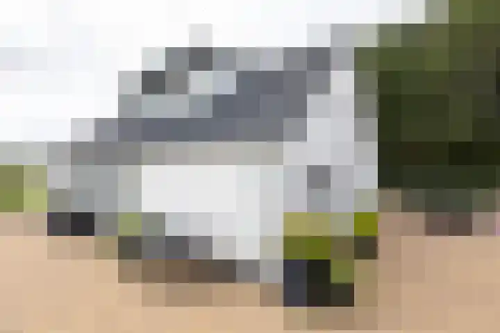 Kwartiersedijk 36 Babberich thumbnail 73