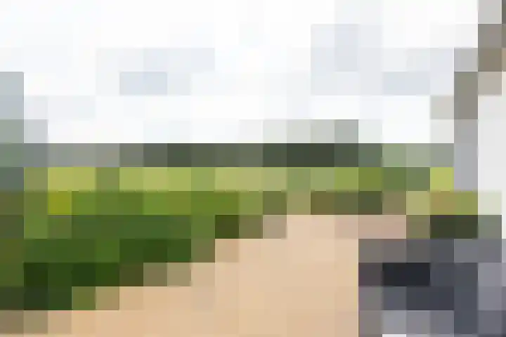 Kwartiersedijk 36 Babberich thumbnail 75