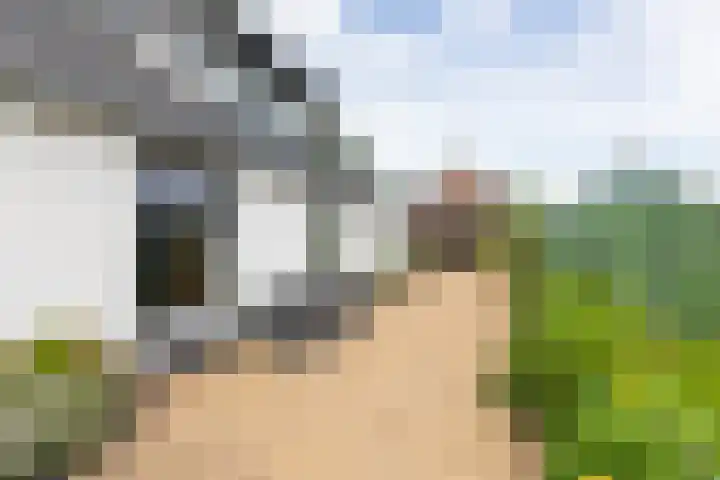 Kwartiersedijk 36 Babberich thumbnail 76