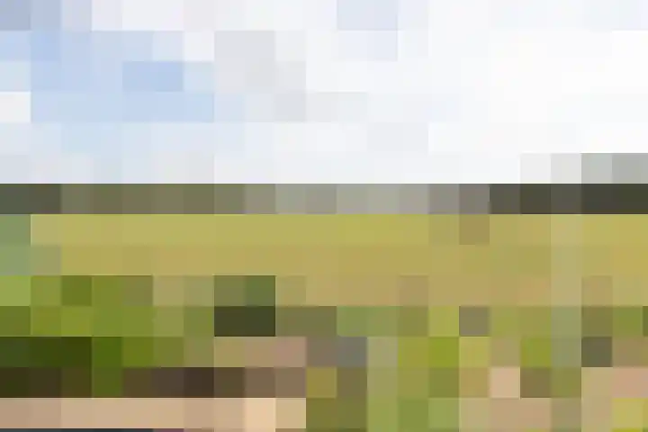 Kwartiersedijk 36 Babberich thumbnail 77