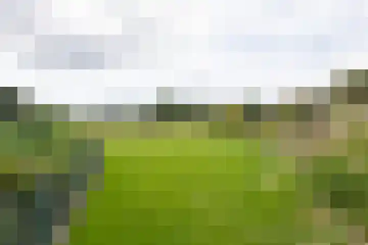 Kwartiersedijk 36 Babberich thumbnail 78