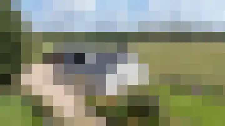 Kwartiersedijk 36 Babberich thumbnail 83
