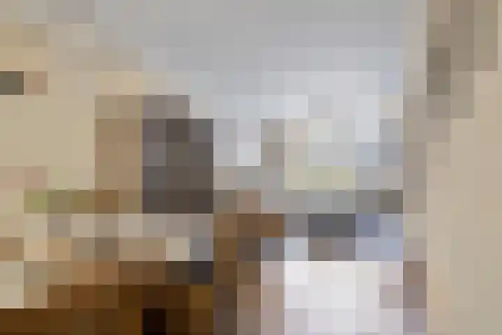 Kwartierstraat 1 Baexem thumbnail 10