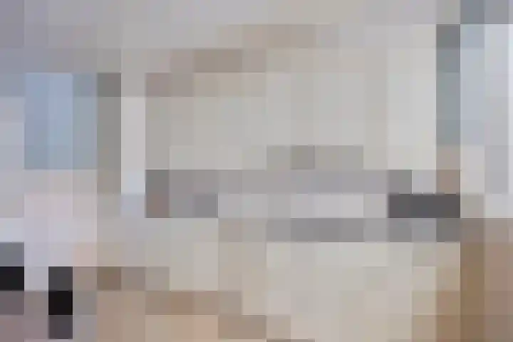 Kwartierstraat 1 Baexem thumbnail 11
