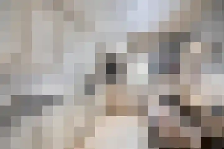 Kwartierstraat 1 Baexem thumbnail 13