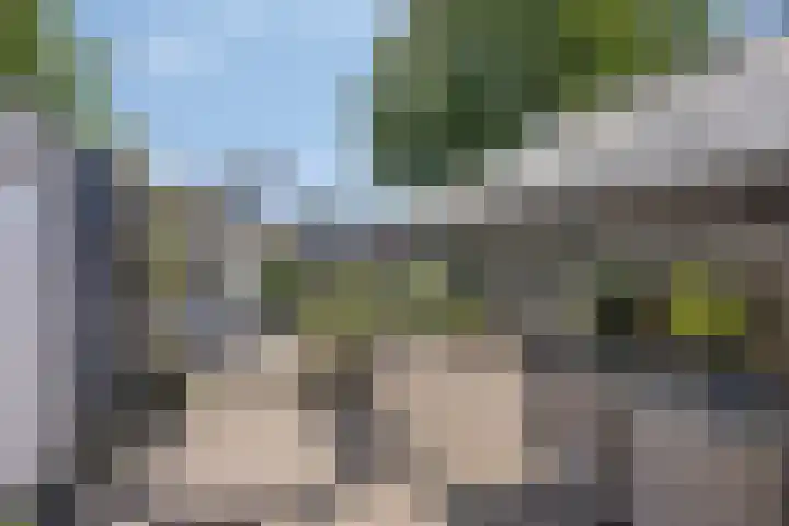 Kwartierstraat 1 Baexem thumbnail 26