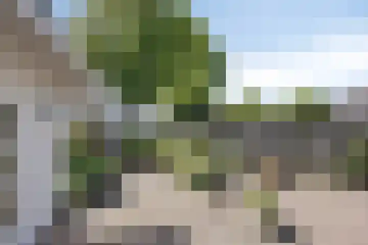 Kwartierstraat 1 Baexem thumbnail 27