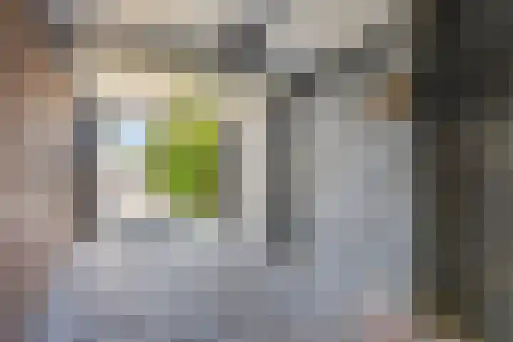 Kwartierstraat 1 Baexem thumbnail 28