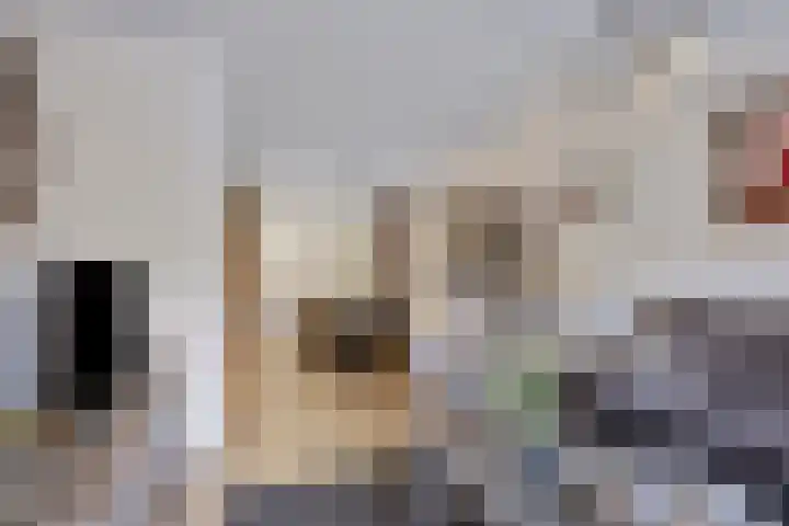Kwartierstraat 1 Baexem thumbnail 8