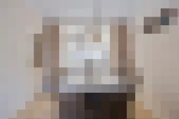 Kwartierstraat 1 Baexem thumbnail 9