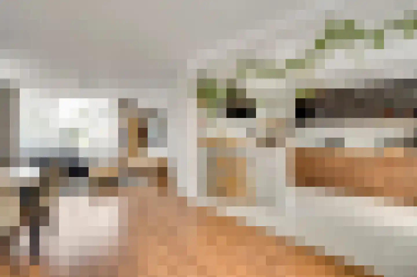 Kwartierstraat 3 Baexem thumbnail 15