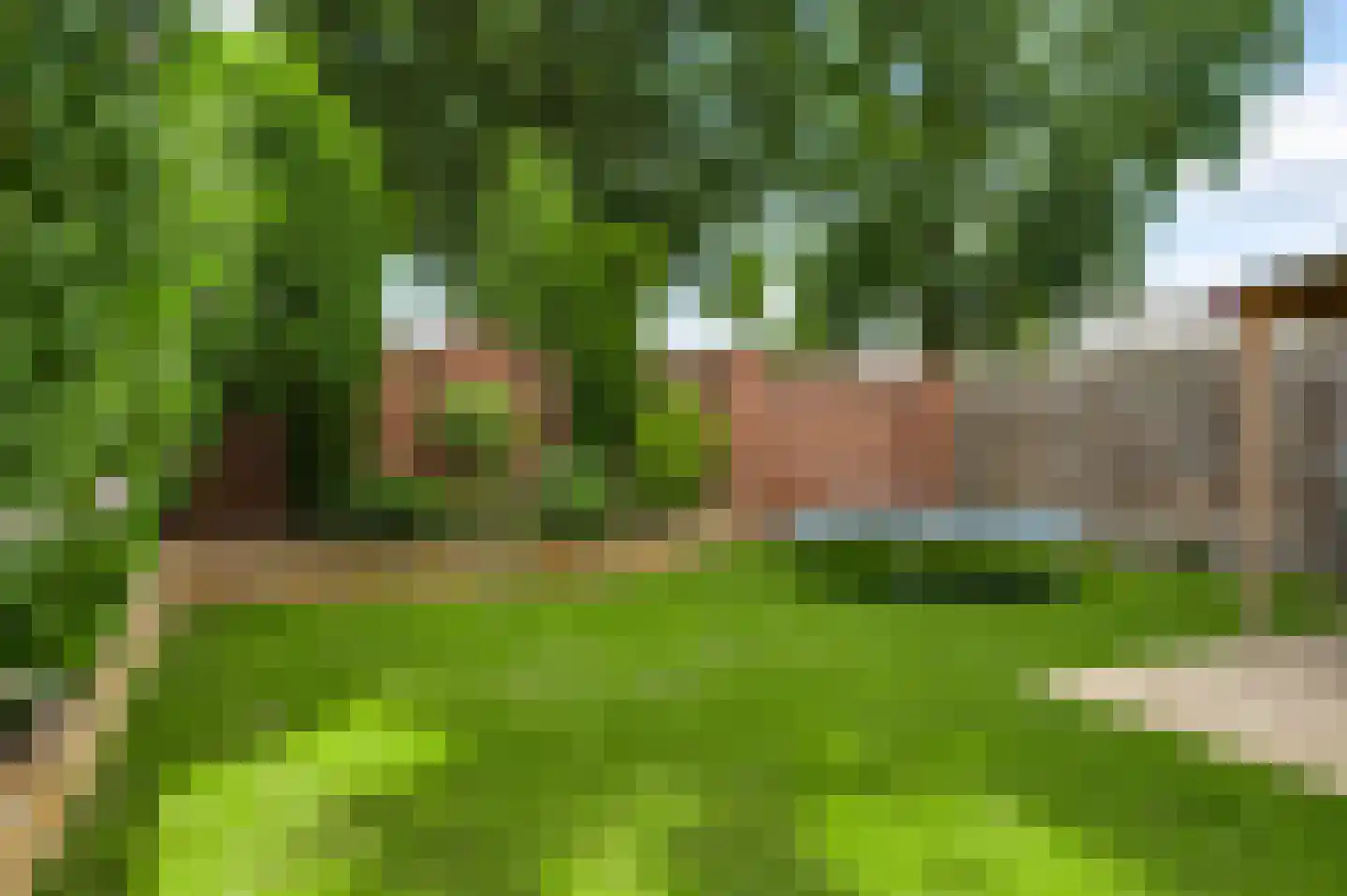 Kwartierstraat 3 Baexem thumbnail 34