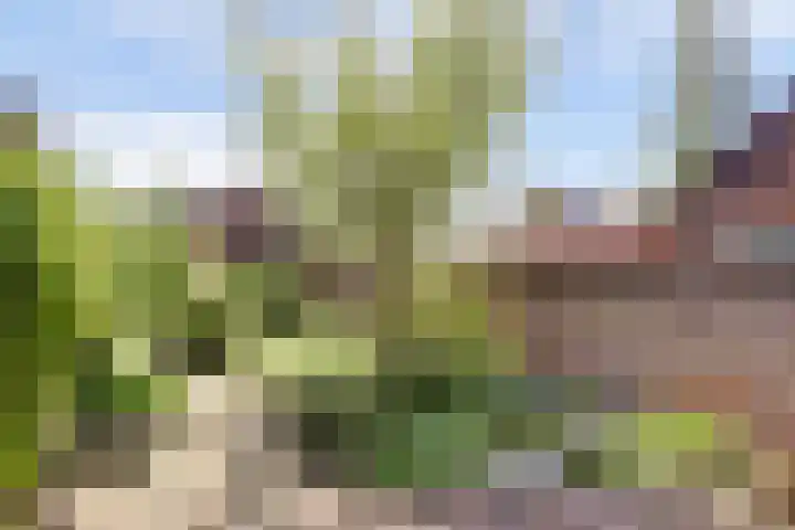 Kwartierstraat 9 Veere thumbnail 33