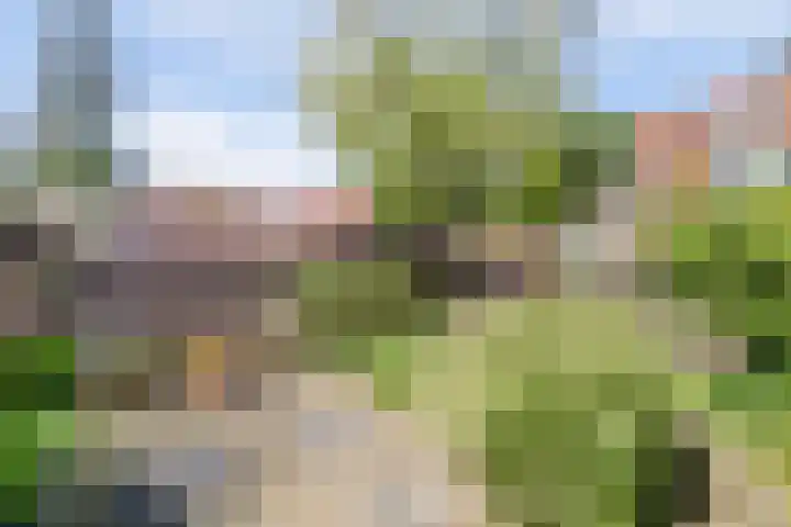Kwartierstraat 9 Veere thumbnail 34