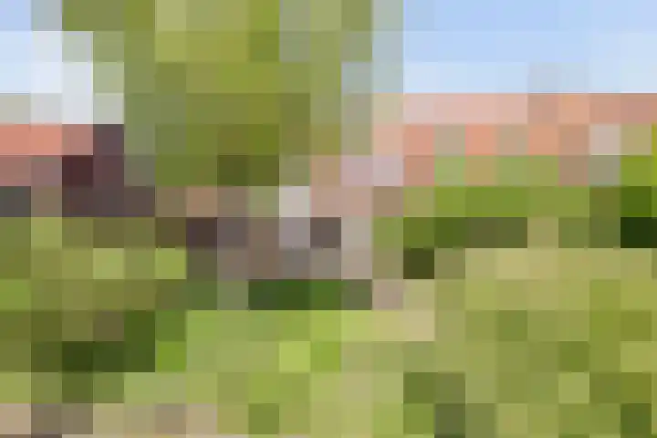 Kwartierstraat 9 Veere thumbnail 35