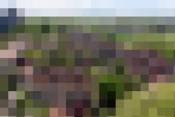 Kwartierstraat 9 Veere thumbnail 42