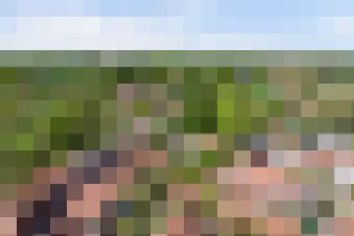 Kwartierstraat 9 Veere thumbnail 46
