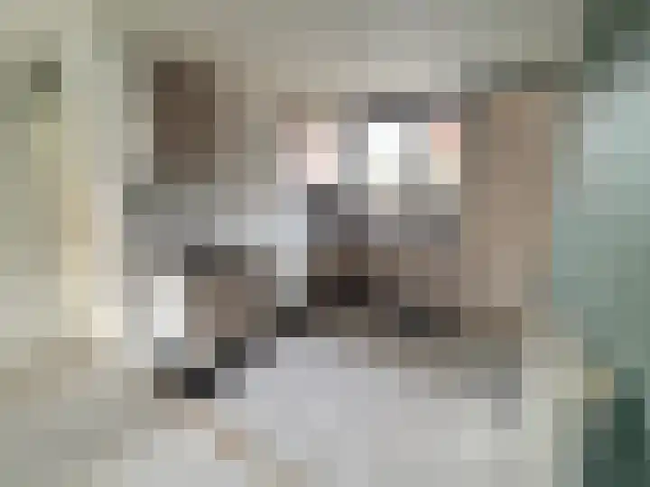 Kwarts 67 Zeewolde thumbnail 15