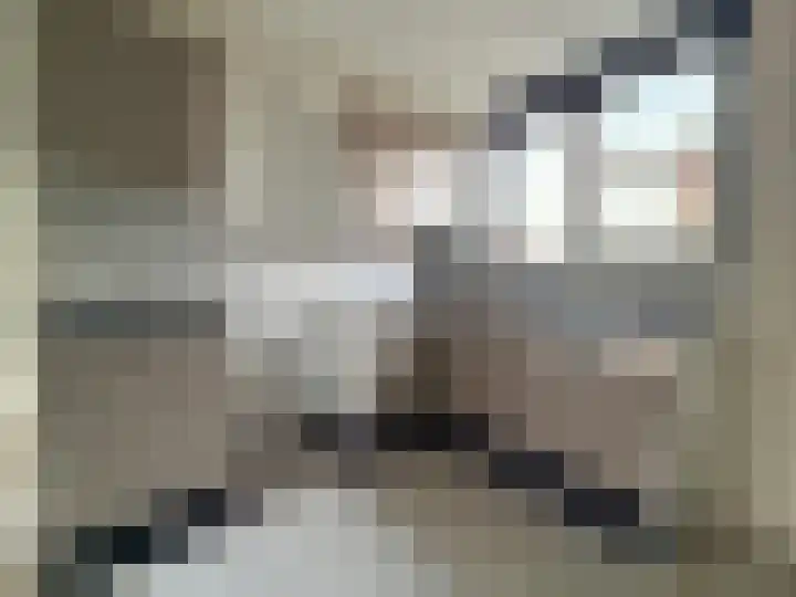Kwarts 67 Zeewolde thumbnail 17