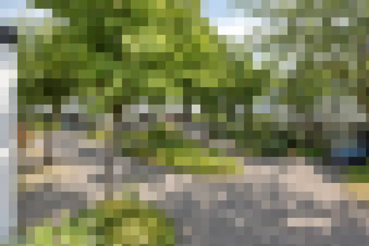 Kwartshof 4 IJsselstein thumbnail 25