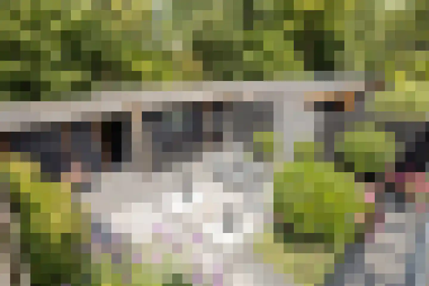 Kwartshof 4 IJsselstein thumbnail 32