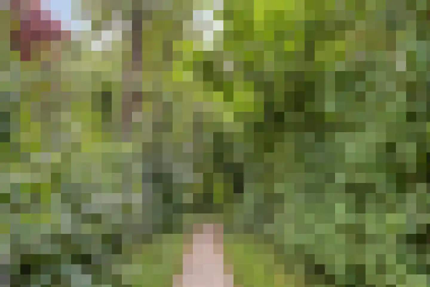 Kwartshof 4 IJsselstein thumbnail 41