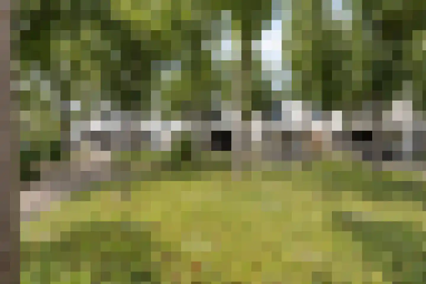 Kwartshof 4 IJsselstein thumbnail 6