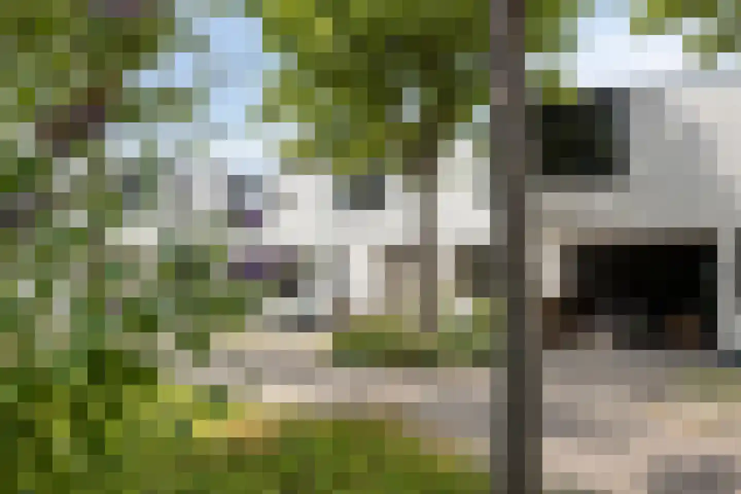 Kwartshof 4 IJsselstein thumbnail 7
