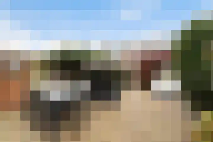 Kwartsiet 8 Zoetermeer thumbnail 14