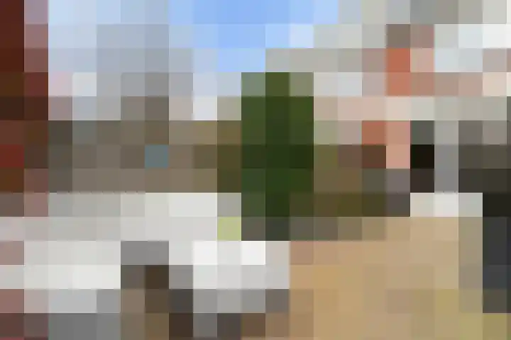 Kwartsiet 8 Zoetermeer thumbnail 17