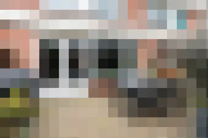 Kwartsiet 8 Zoetermeer thumbnail 20
