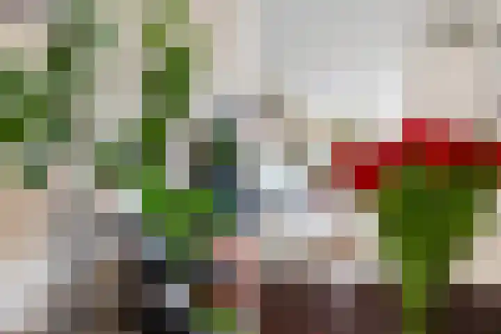 Kwartsiet 8 Zoetermeer thumbnail 23