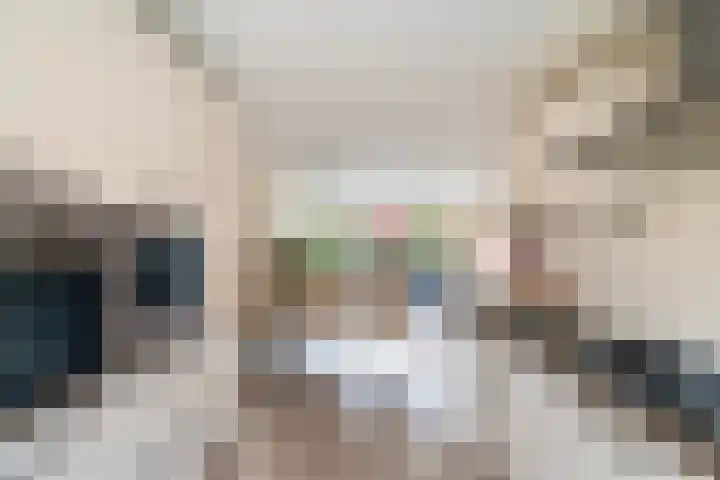 Kwartsiet 8 Zoetermeer thumbnail 25