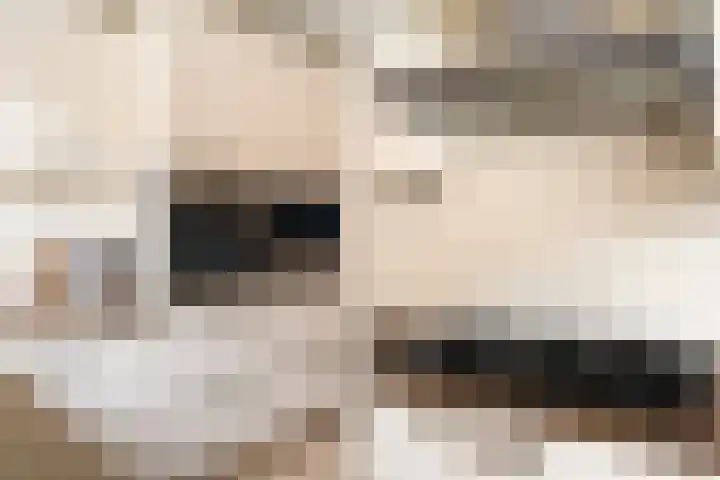 Kwartsiet 8 Zoetermeer thumbnail 28