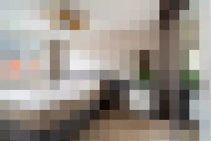 Kwartsiet 8 Zoetermeer thumbnail 32
