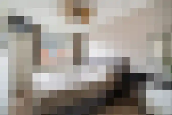 Kwartsiet 8 Zoetermeer thumbnail 33