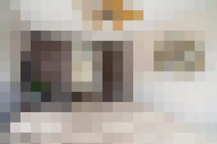 Kwartsiet 8 Zoetermeer thumbnail 34