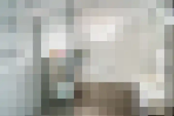 Kwartsiet 8 Zoetermeer thumbnail 35
