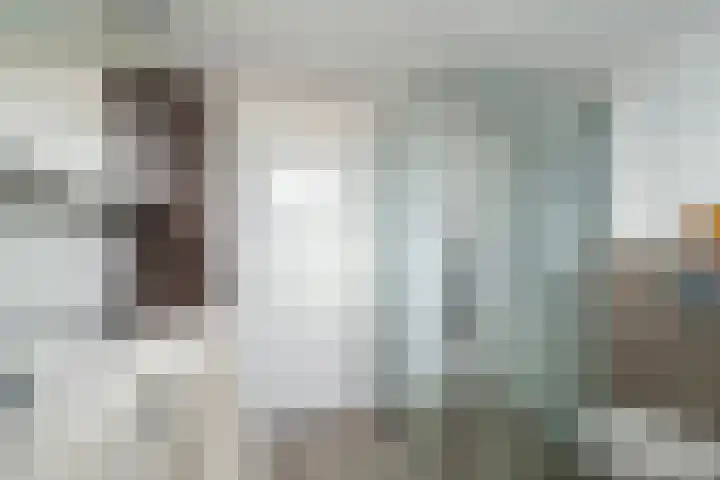 Kwartsiet 8 Zoetermeer thumbnail 37