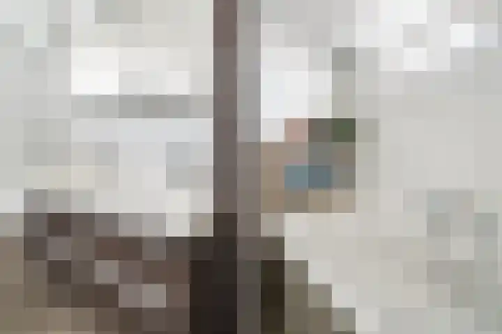 Kwartsiet 8 Zoetermeer thumbnail 38