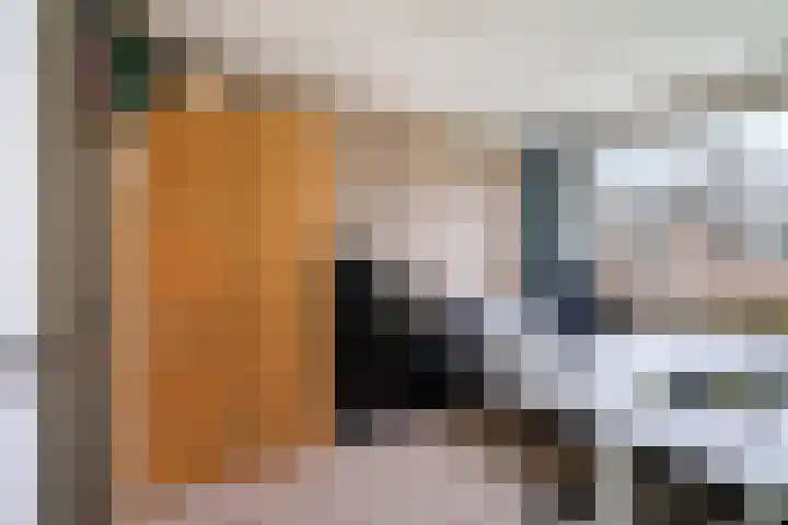 Kwartsiet 8 Zoetermeer thumbnail 39