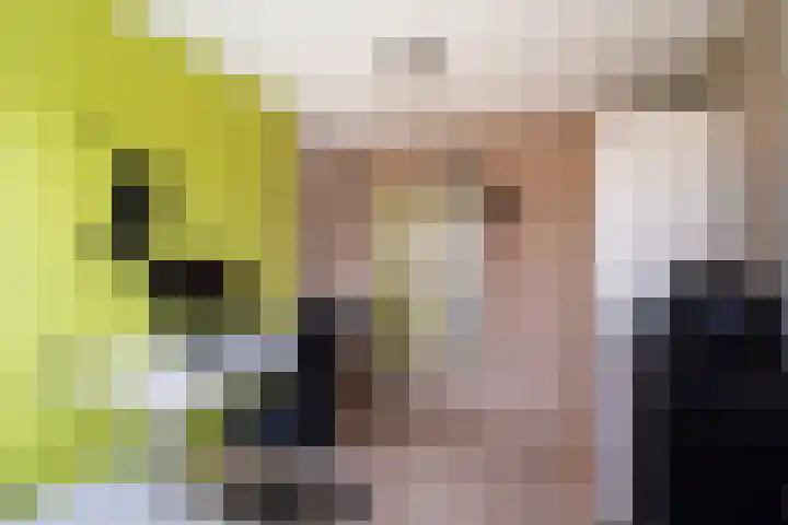 Kwartsiet 8 Zoetermeer thumbnail 41